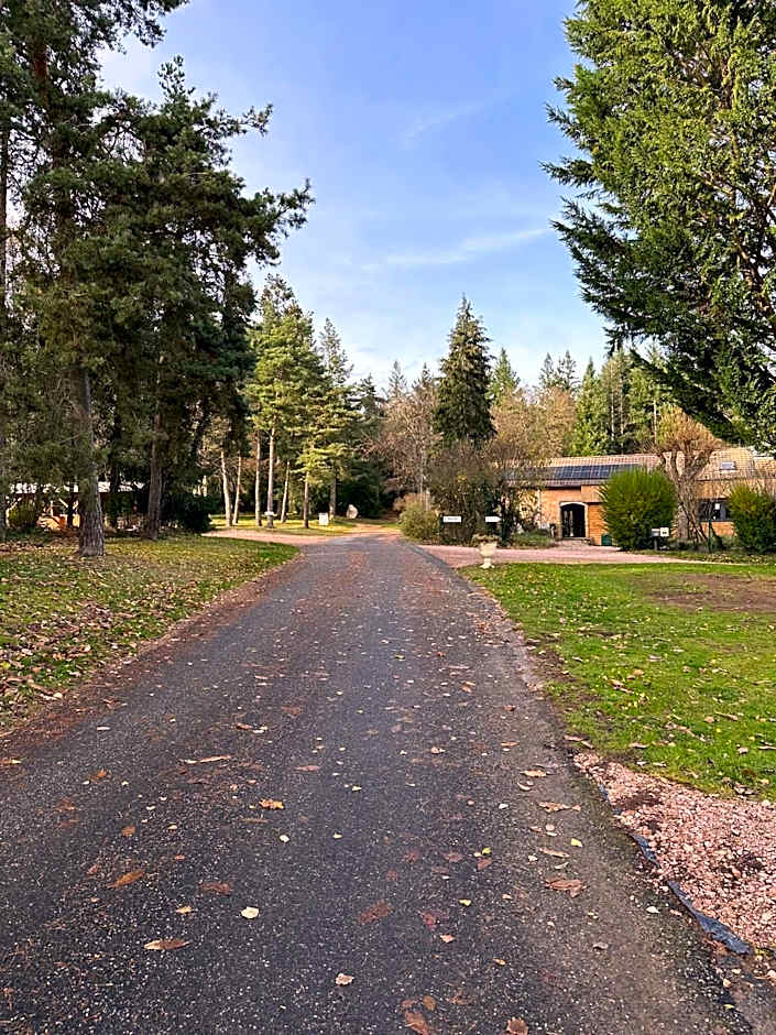 Du côté de chez Sam