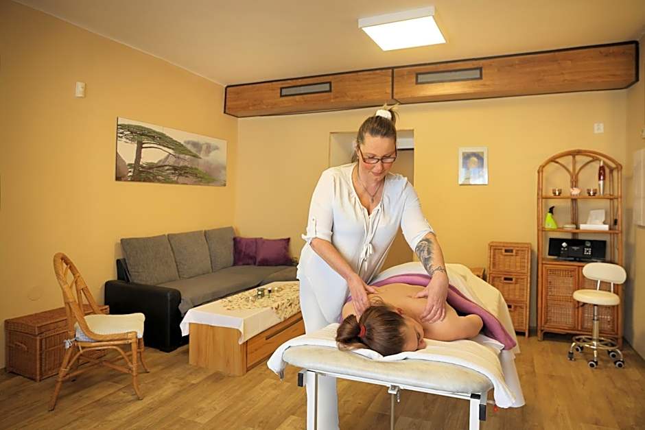 Záviš z Falkenštejna