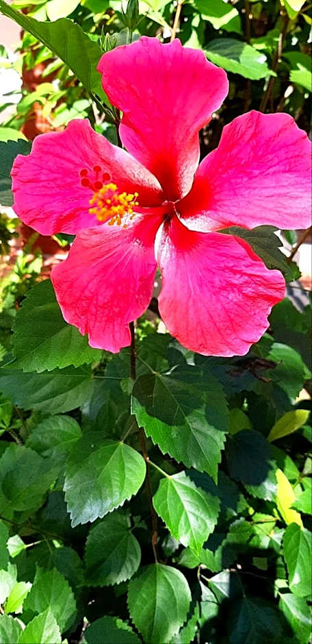 La Paloma Oceanfront Retreat