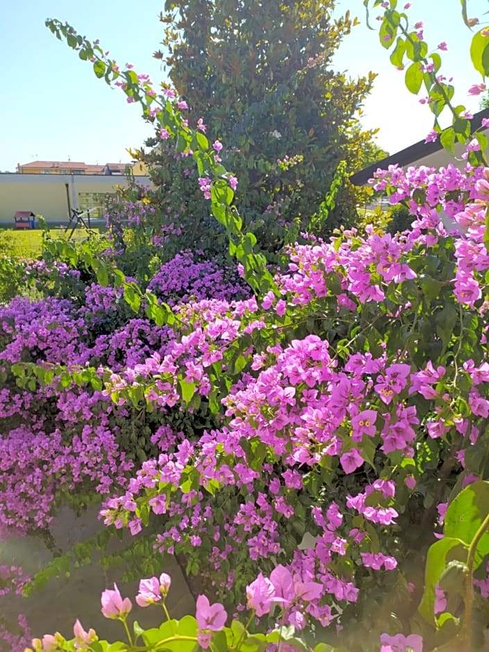 B&B Villa la Bouganville