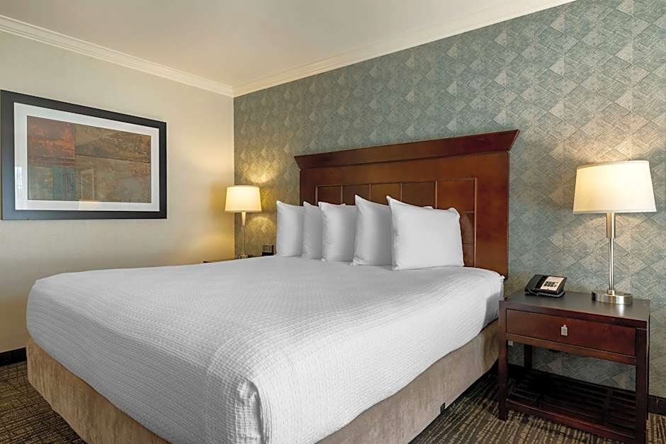 Photo 1 of 13 of 1 King Bed, Mobility Accessible, Roll in Shower