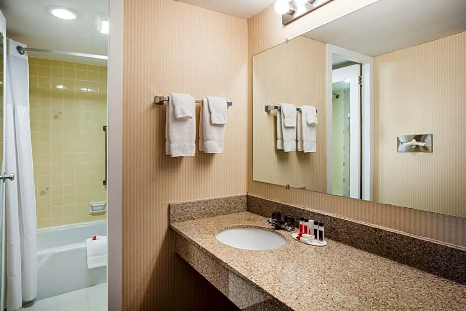 Photo 1 of 3 of 1 King Bed, Mobility Accessible, Grab Bars, Bathtub