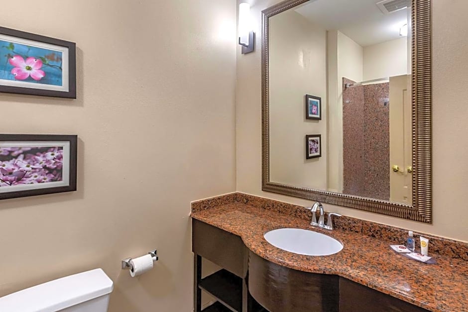 Comfort Inn & Suites Villa Rica