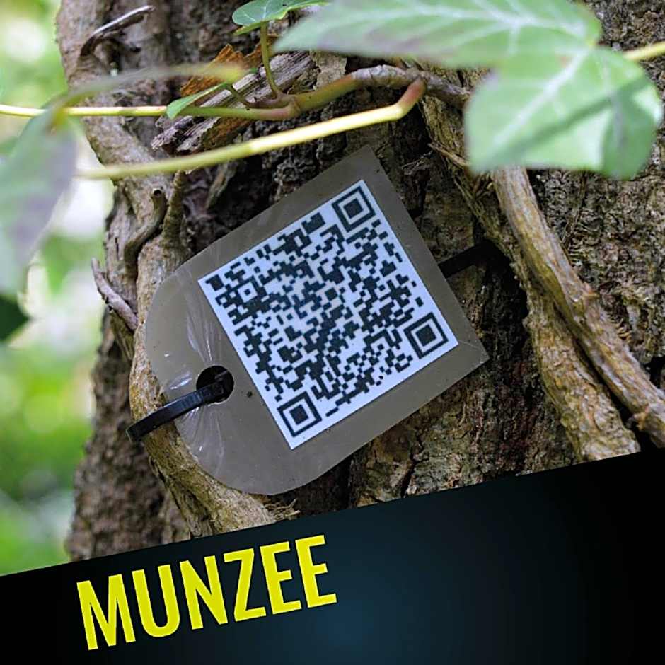 4 Évszak Hegyihotel