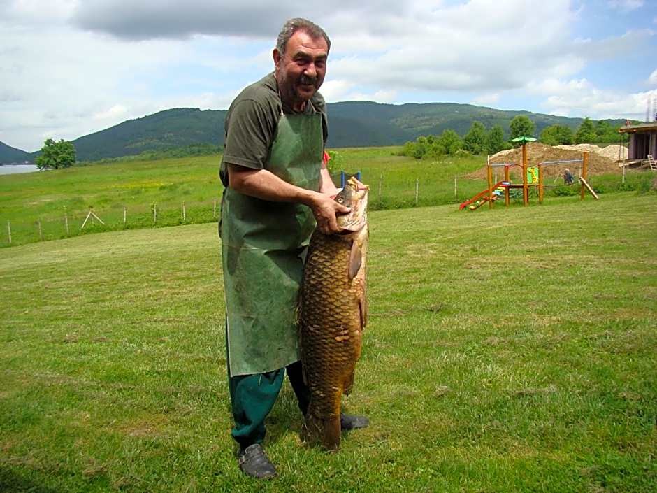 Complex Pristan in the mountain