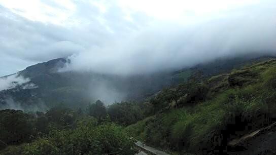 Neelakurunji Plantation Munnar