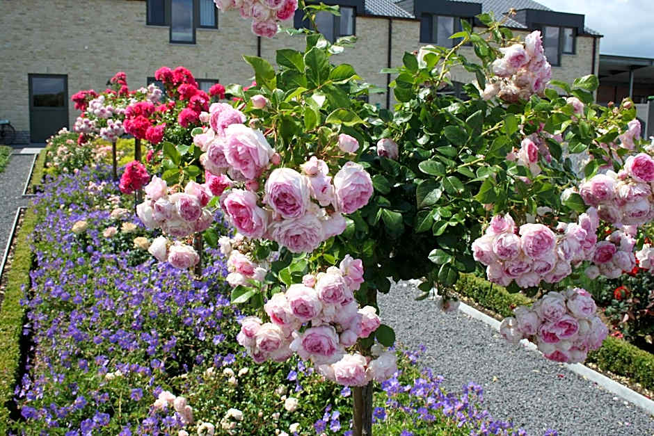 B&B La Vie En Roses