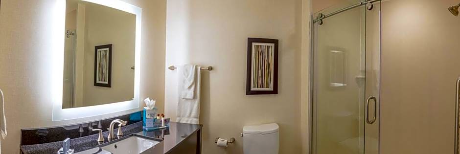 Wingate by Wyndham Loveland