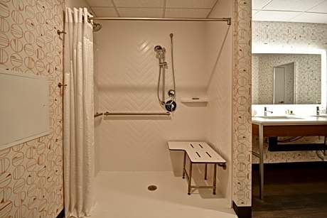 Suite - Mobility Access Roll in Shower/Non-Smoking