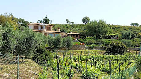 Uva Stelle Maison detached villa in the hills of Sperlonga