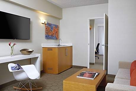 One-Bedroom King Suite with Sofa-Bed