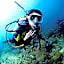 PamAnilao and Padoy's Dive Camp