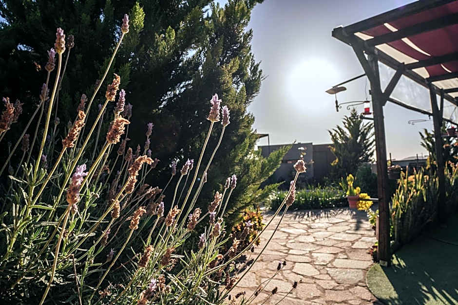 Entre Vides Valle de Guadalupe