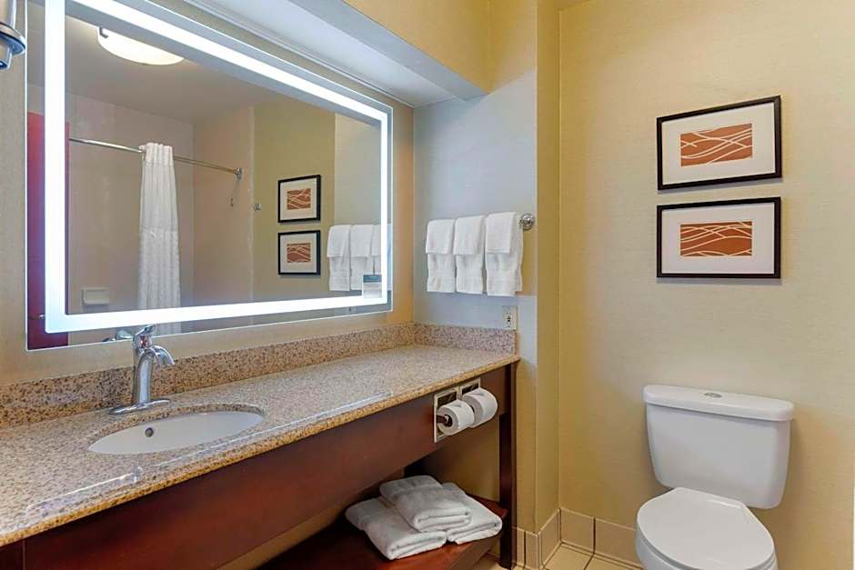 Comfort Inn & Suites Jackson North