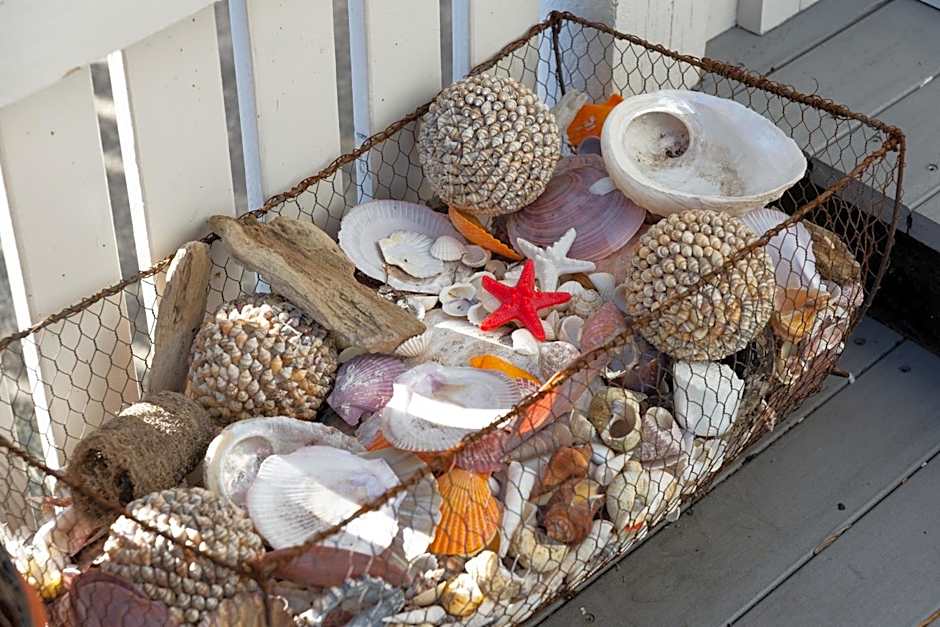 At Eleven - La Petite Maison