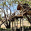 Antonio Beach Tree House Hotel & Spa