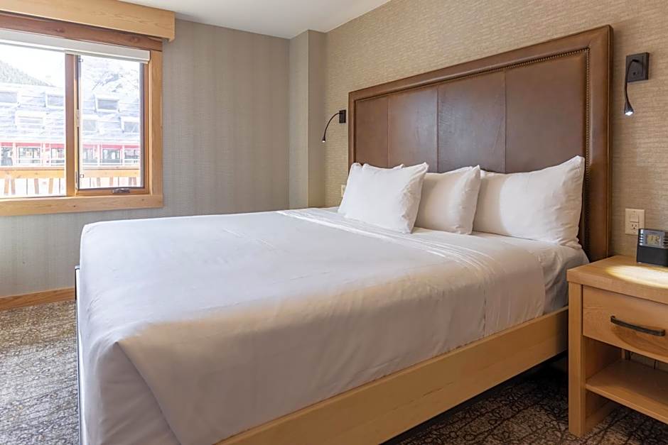 Moose Hotel and Suites