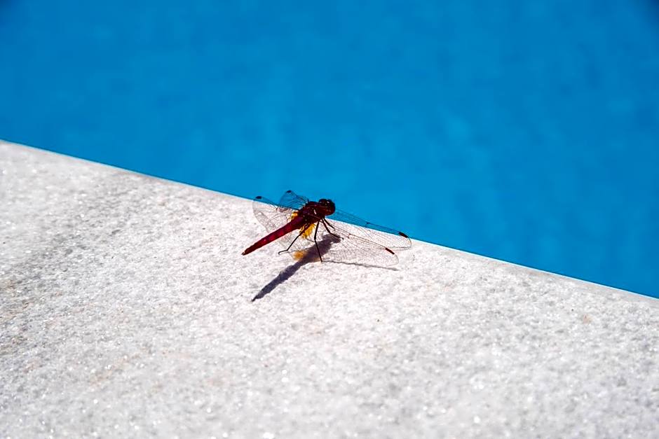 LIvadi Studios with Pool