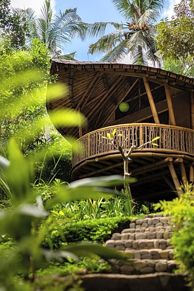 Bamboo Turtles Ecolodge