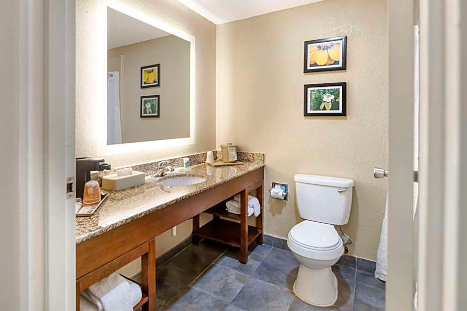 Comfort Inn Meridian - Bonita Lakes