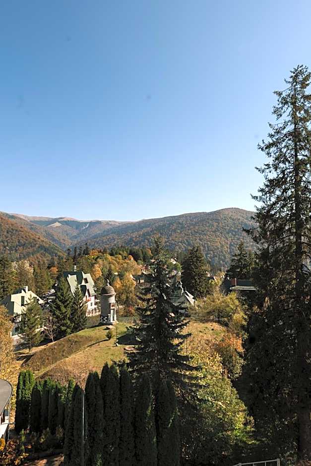 Hotel Marea Neagra Sinaia