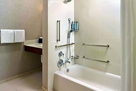 Suite, 1 Bedroom (1 Queen Bed and 1 Double Sofa Bed)