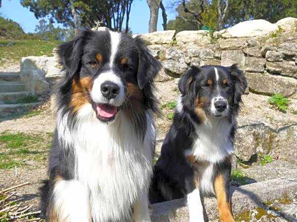 La Ferme Les Eybrachas