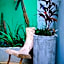 Casa Cacto Pousada