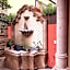 Exclusive Luxury Guest Center House