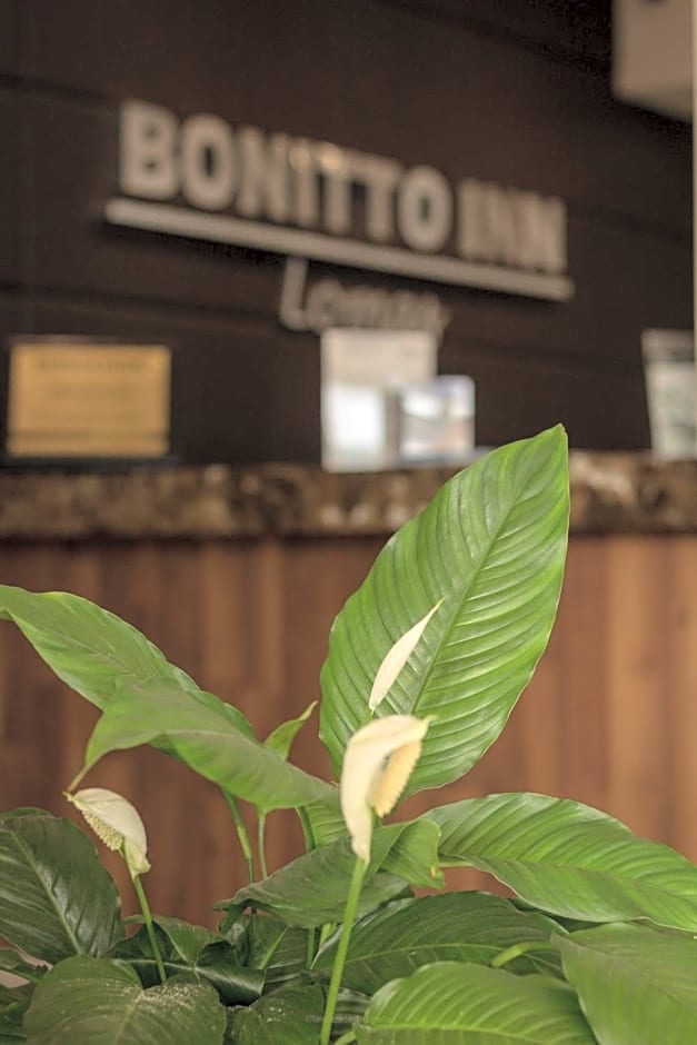 BONITTO INN® Tampico Lomas