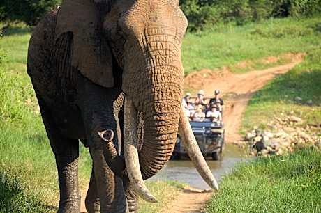 Karongwe River Lodge