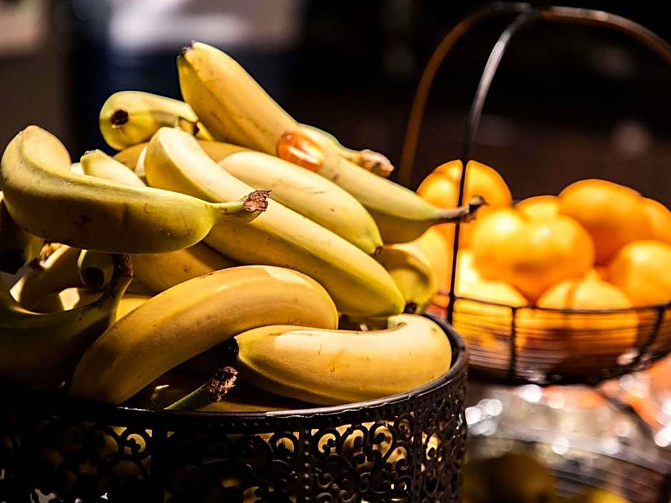 ibis Styles Glasgow Centre West