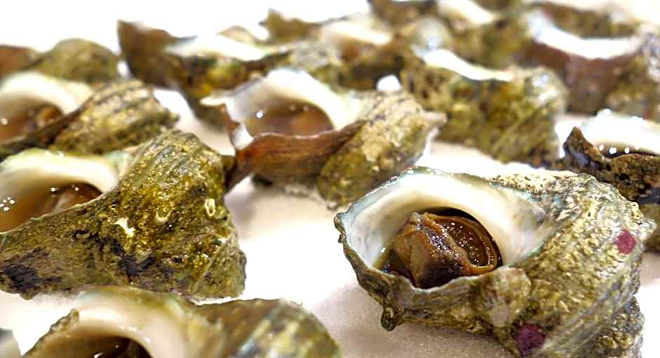 Tonamino Shogawaso Ichimantei