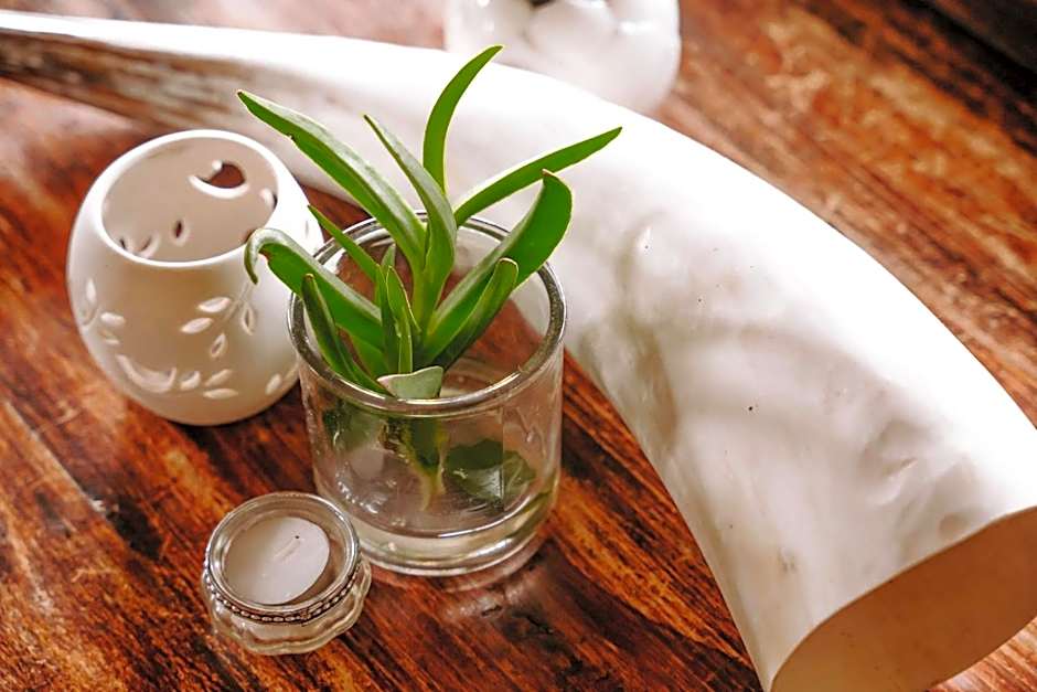 Bukela Game Lodge - Amakhala Game Reserve