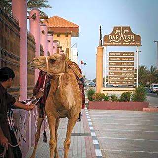 Daraysh Hotel