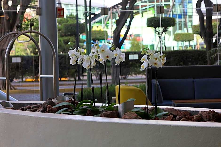 Holiday Inn Express Guadalajara Expo By IHG