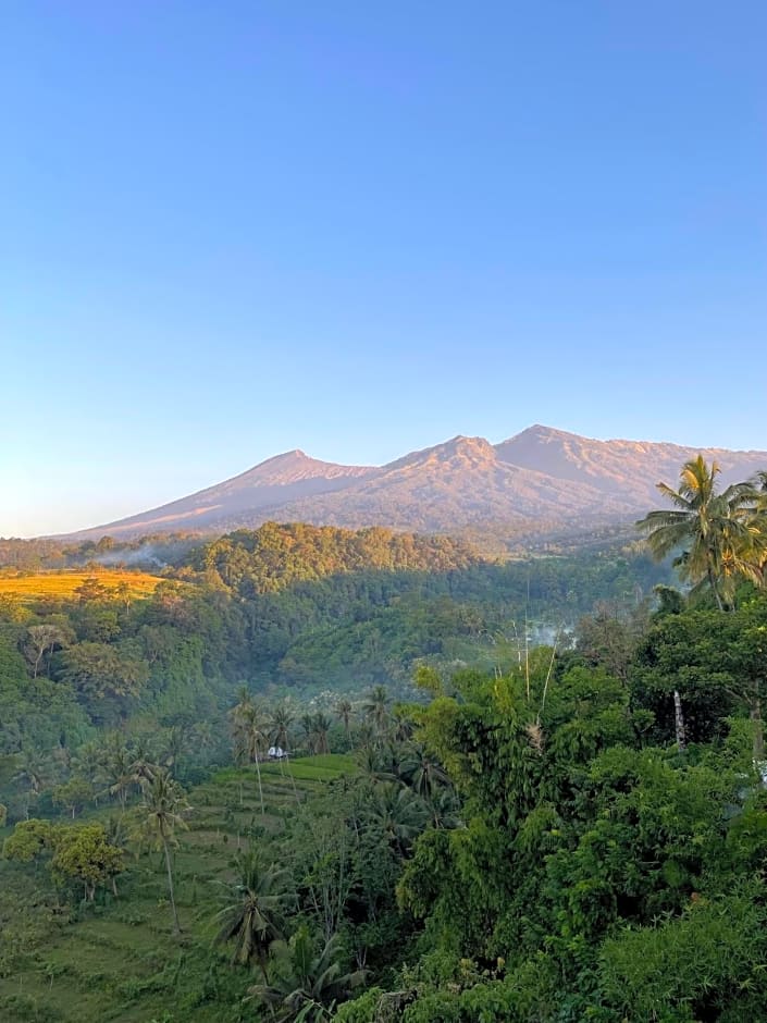 Rinjani Golden