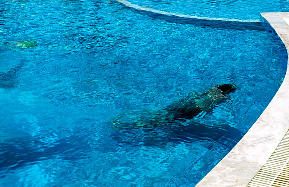 Bella Santorini Studios