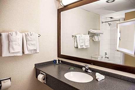 King Suite with Jetted Tub, Non-Smoking