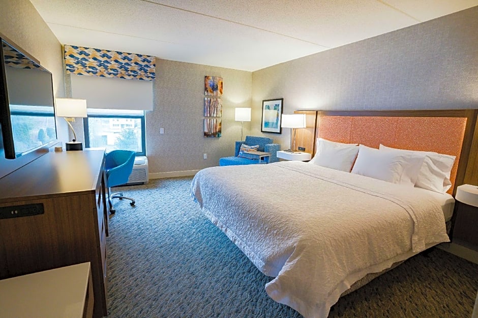 Photo 1 of 3 of 1 King Bed, Hearing/Mobility Accessible, Roll in Shower