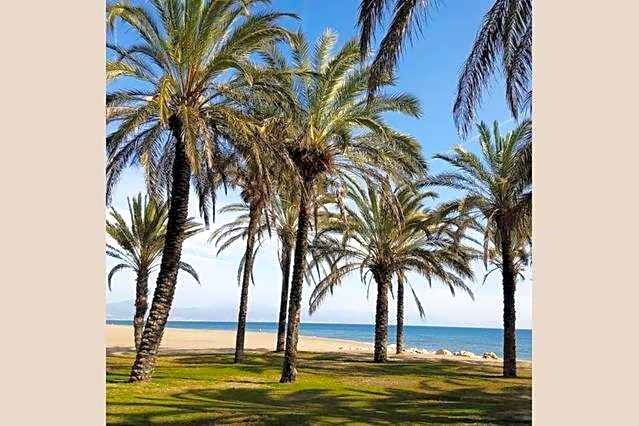 Apartamento Minerva Jupiter. The perfect accommodation for your vacation