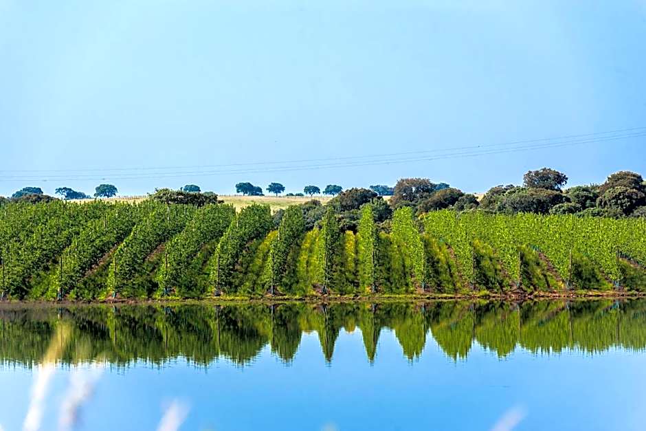 Vila Gale Alentejo Vineyard - Clube de Campo