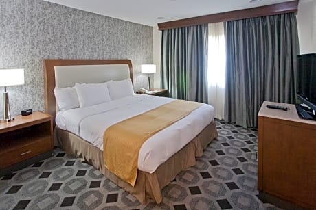 1 king bed 2 room suite-whirlpool-nonsmoking - comp hi speed-sweet dreams experience bed - living room-dining table-fridge-microwave -
