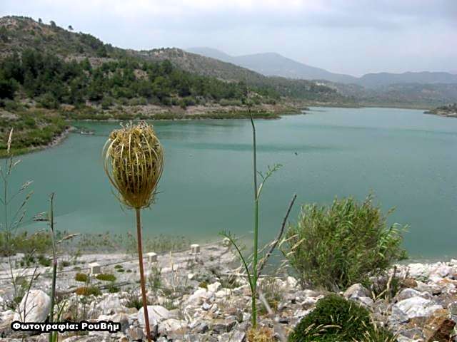 Star Sianna Village Rooms to let