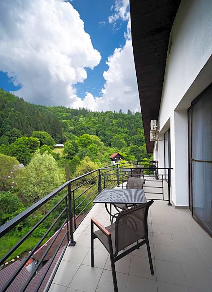 Zan Hotel Voineasa