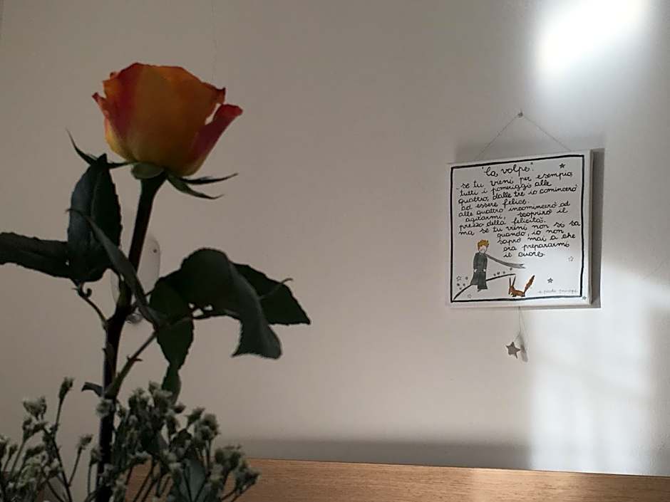 B&B Il Piccolo Principe room and breakfast