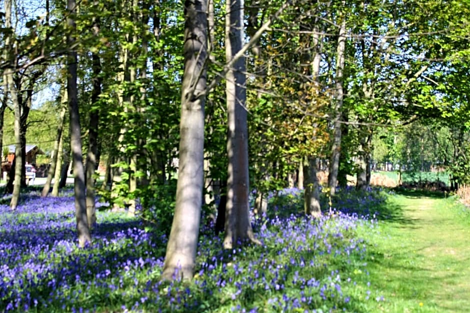 Hollicarrs - Newlands