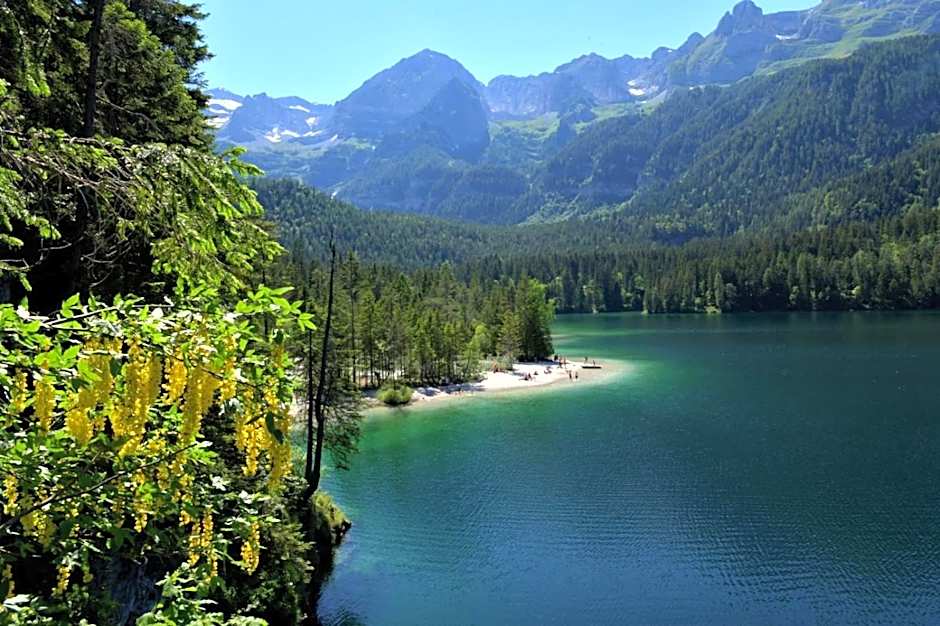 Chalet Tovel - Mountain Lake