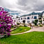 The Olive Tree Hotel