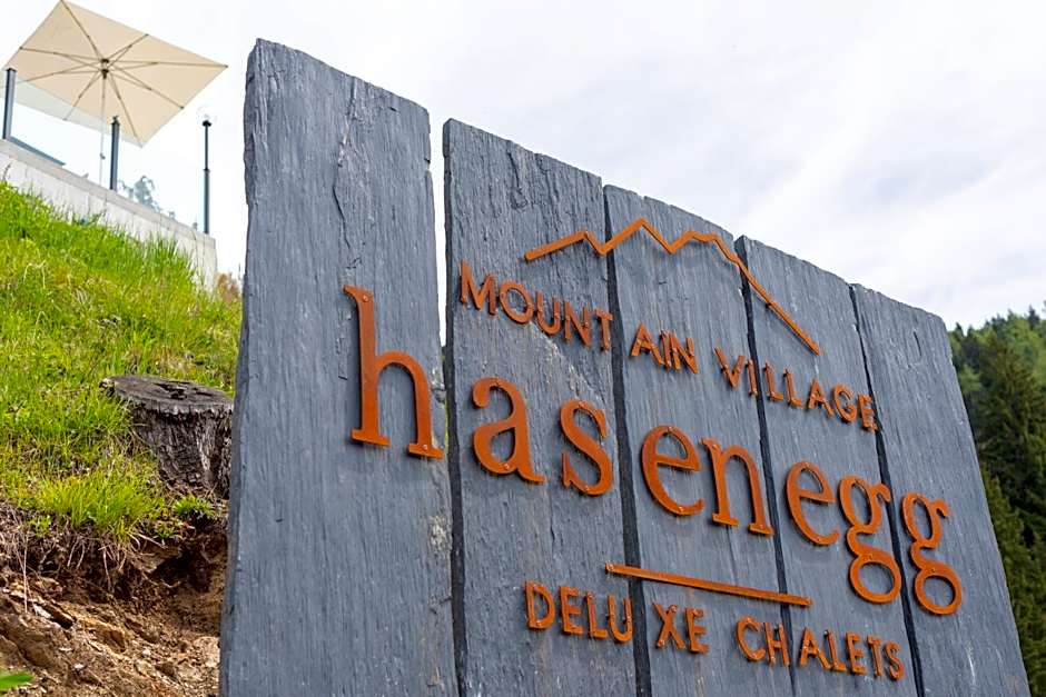 Mountain Village Hasenegg